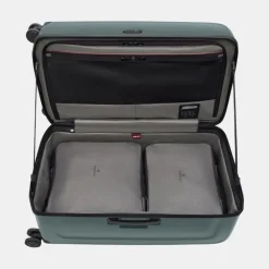 Clearance Spectra 3.0 Trunk Large Case Koffer