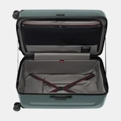 Clearance Spectra 3.0 Trunk Large Case Koffer